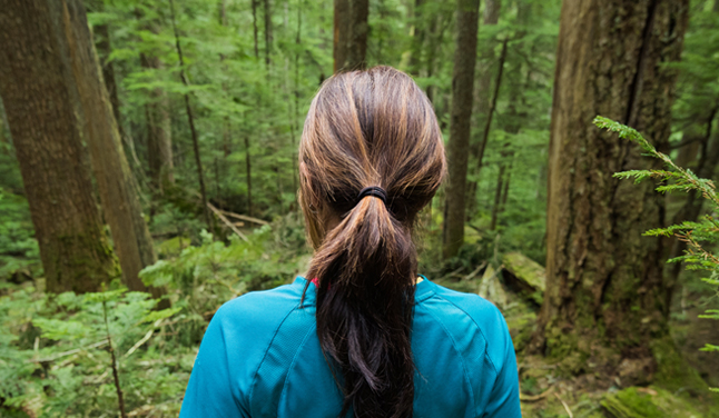 Sappi nous fait part du point de vue du papetier sur la foresterie durable 