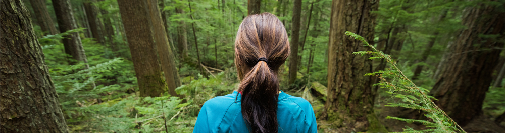 Sappi Shares the Papermaker’s Perspective on Sustainable Forestry